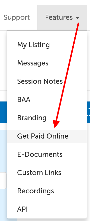 Get Paid Online from the Features menu